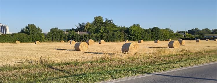 Slika /PU_VS/Pozari/rolo bale slame.jpg